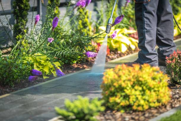 Winterizing Services in East Foothills, CA